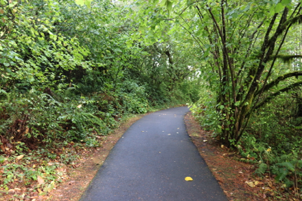 Main trail is paved passing through trees and open areas